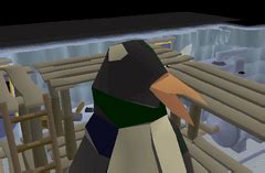 osrs penguin suit|OSRS Cold War .